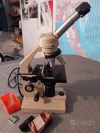 microscopio 