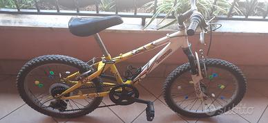 Mountain bike