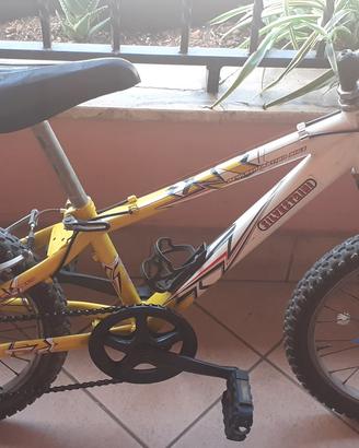Mountain bike