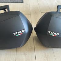 KIT VALIGIE SHAD SH36 CARBON x KAWASAKI Z900RS