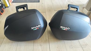 KIT VALIGIE SHAD SH36 CARBON x KAWASAKI Z900RS