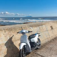 piaggio scarabeo