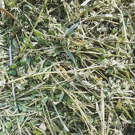 Erba Medica Fieno in Ballette