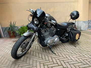 Harley davidson 883 low