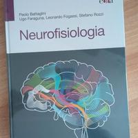 Libro Neurofisiologia Edra