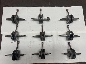 alberi Morini/Minarelli