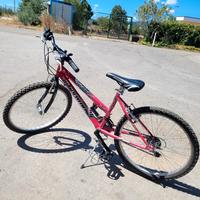 bicicletta jumpertrek 24 cambio shimano  