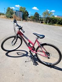 bicicletta jumpertrek 24 cambio shimano  