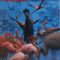 Morgan Lost: Dark Novels, completa, Bonelli