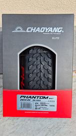 Chaoyang Phantom Wet 120 tpi  29×2.20