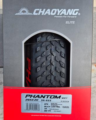 Chaoyang Phantom Wet 120 tpi  29×2.20