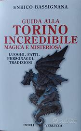 Enrico Bassignana -Guida alla Torino incr*edibile.