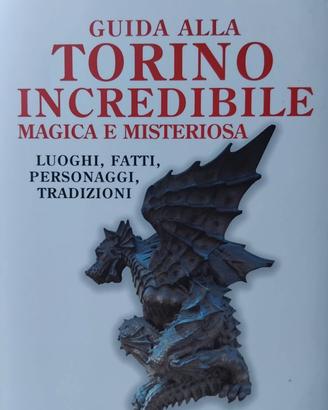 Enrico Bassignana -Guida alla Torino incr*edibile.