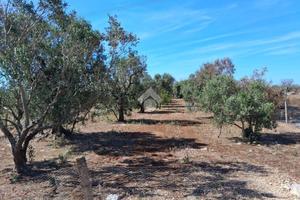 TER. AGRICOLO A NARDÒ