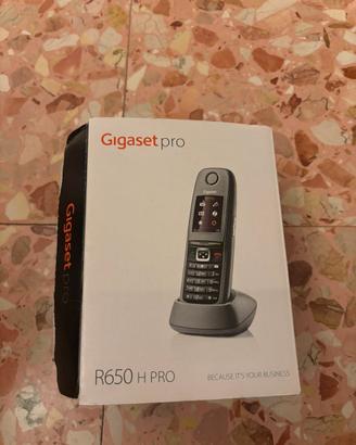 Cordless gigaset pro R650