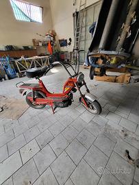 Mini califfo
