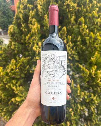Vino rosso argentino