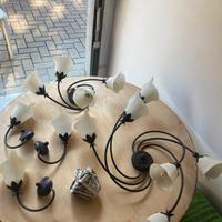 Coppia di lampadari piu 3 applique