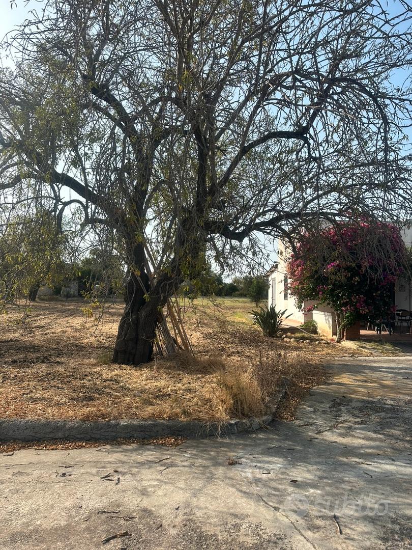 Terreno agricolo Augusta - Vista 3