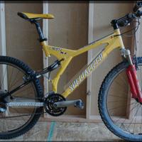 Specialized stumpjumper