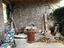 Immagine 16