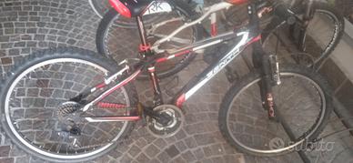 mtb ragazzo ruote 24 