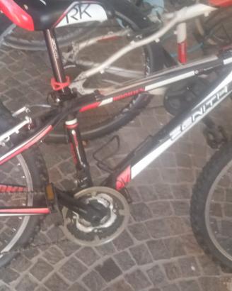 mtb ragazzo ruote 24 
