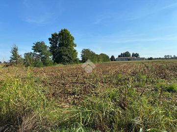 TER. AGRICOLO A CORBETTA