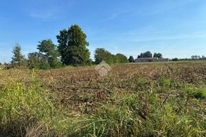 TER. AGRICOLO A CORBETTA