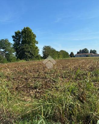 TER. AGRICOLO A CORBETTA