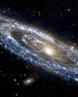 Professore,Ingegnere-Superiori,Università-10euro/h