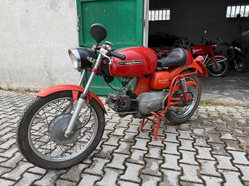 Aermacchi Ala Verde 250 - 1969