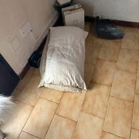 Cuscini per cuccia