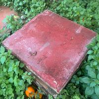 Mattoni caminamento giardino