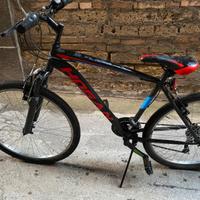 Bicicletta Hogan 