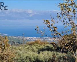 Terreno 3000mq panoramico a Piedimonte Etneo