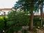 Immagine 27