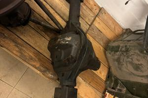 Ponte posteriore Salisbury