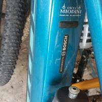 bicicletta elettrica 