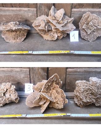 Lotto rose del deserto pietra minerale fossile
