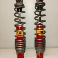 Fantic Motor Trial 