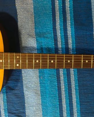 Chitarra acustica Tamaki SF 125 anni '70