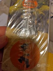 Carte Shrek Mulino Bianco