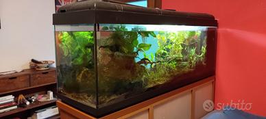 Acquario 400 Litri COMPLETO (150x50x50)