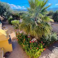 Porto Pino zona, Villetta caposchiera