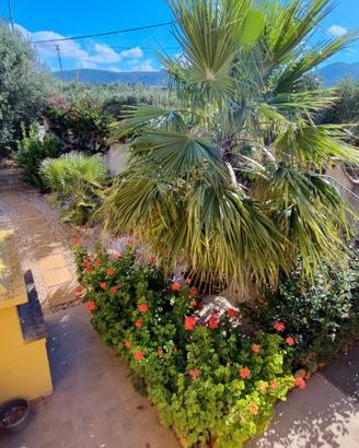 Porto Pino zona, Villetta caposchiera