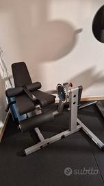 leg extension, leg curl 