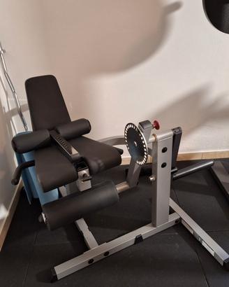 leg extension, leg curl 