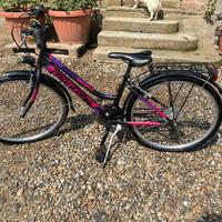 bicicletta  montana 26 pollici
