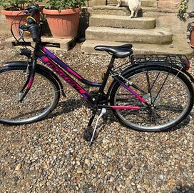 bicicletta  montana 26 pollici